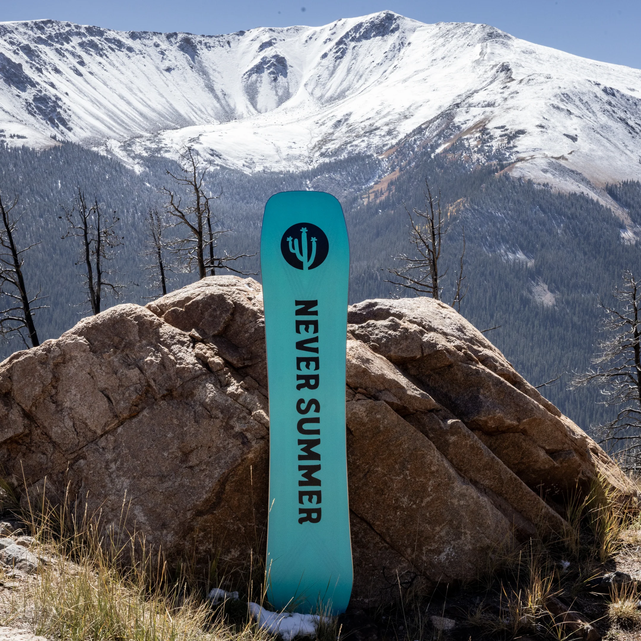 Women’s 2026 Cirrus Snowboard - Image 8
